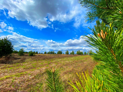 Продается участок в КП Крюково 6,12 соток