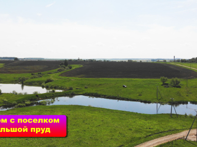 Земельный участок 10 сотки в деревне Дмитриевское.