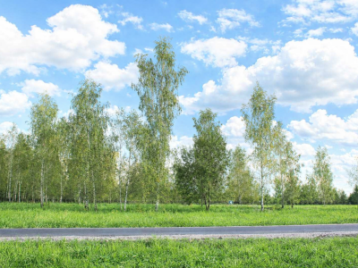 Участок 10,63 сотки в уникальном поселке