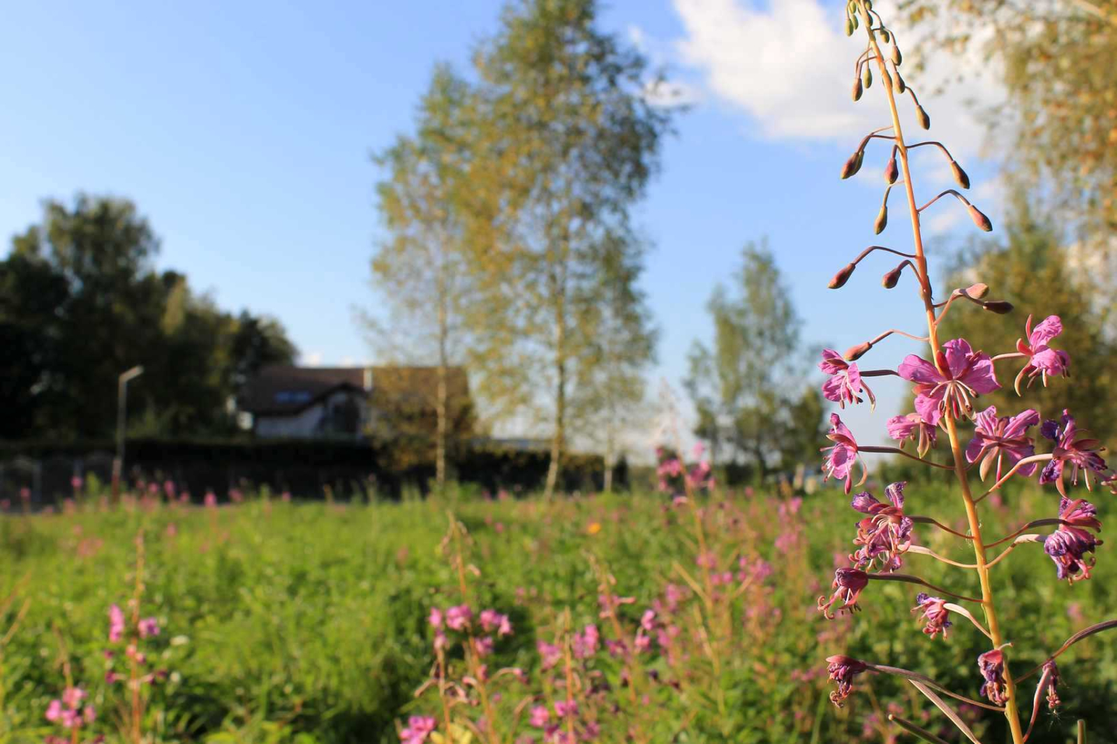 Участок 11,12 соток в  уникальном КП Nova Life - фото #17