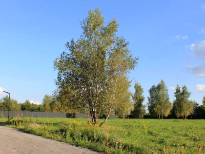 Участок 12,15 соток в  уникальном КП Nova Life