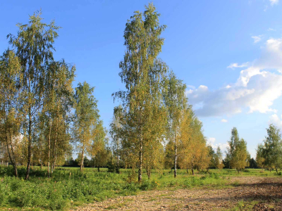 Участок 12,24 соток в  уникальном КП Nova Life