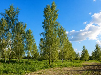Участок 12,24 соток в  уникальном КП Nova Life