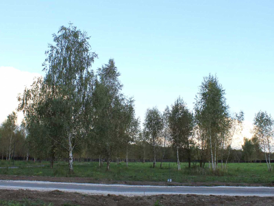 Участок 12,4 сотки в  уникальном КП Nova Life