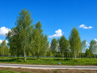 Участок 12,4 сотки в  уникальном КП Nova Life