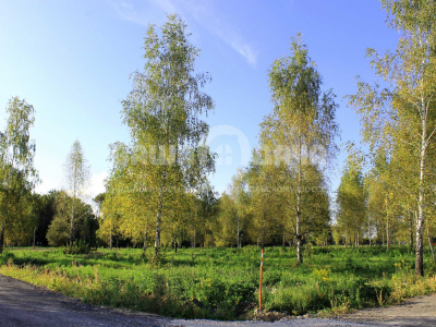 Участок 16,05 соток в  уникальном КП Nova Life