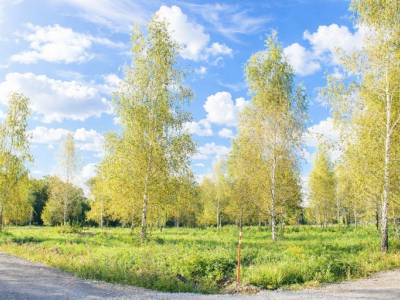 Участок 16,05 соток в  уникальном КП Nova Life