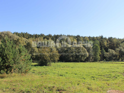 Участок 12,14 соток в поселке с вековыми соснами!