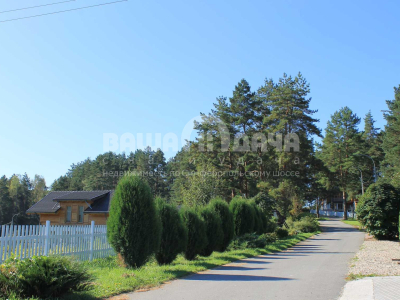 Участок 12,19 соток в поселке с вековыми соснами!