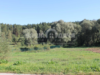 Участок 10,06 соток в поселке с вековыми соснами!