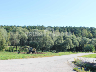 Участок 11,42 сотки в поселке с вековыми соснами!