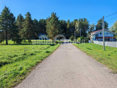 Участок 9,75 соток в поселке с вековыми соснами!