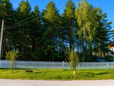 Участок 8,71 сотка в поселке с вековыми соснами!