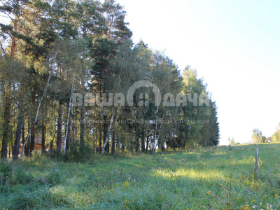 Участок 10 соток в поселке с вековыми соснами!