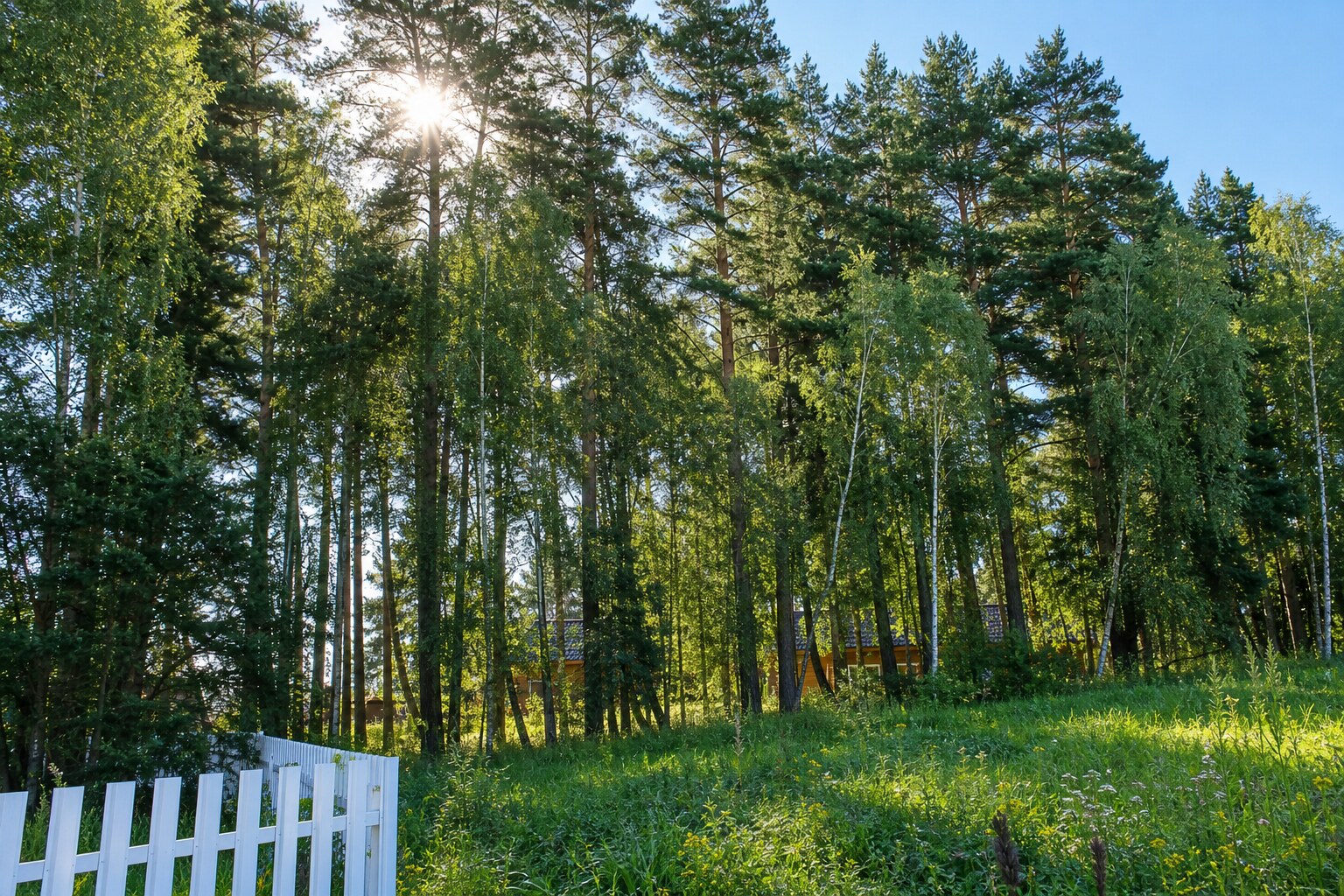 Участок 11,74 сотки в поселке с вековыми соснами! - фото #1