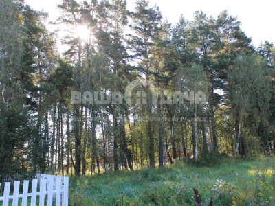 Участок 11,74 сотки в поселке с вековыми соснами!