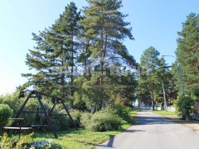 Участок 9,07 соток в поселке с вековыми соснами!