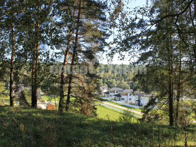 Участок 8,5 соток в поселке с вековыми соснами!