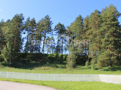 Участок 14,65 соток в поселке с вековыми соснами!