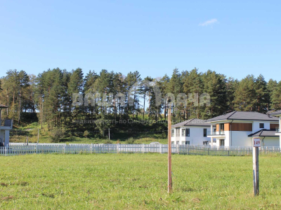 Участок 9,55 соток в поселке с вековыми соснами!