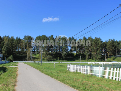 Участок 10,03 сотки в поселке с вековыми соснами!