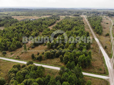 Сказочный уголок у каскада прудов