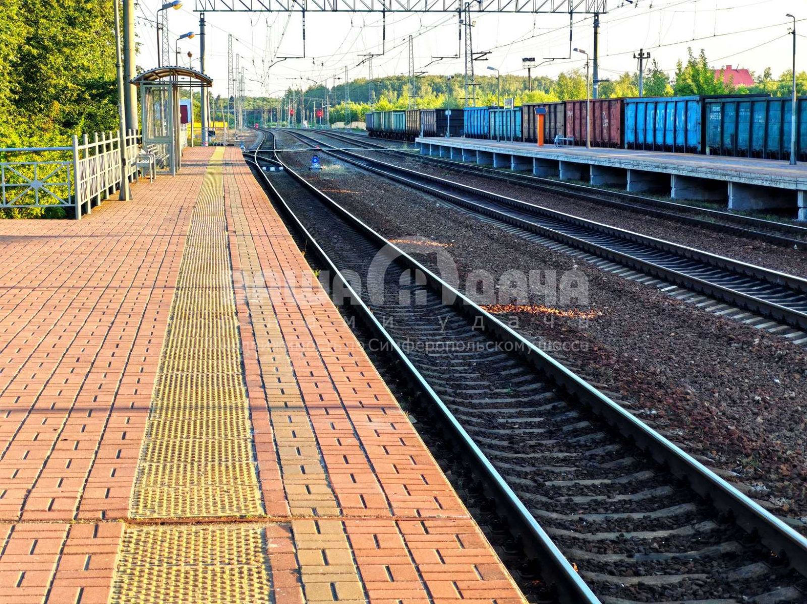 8 соток у карскада прудов - фото #11