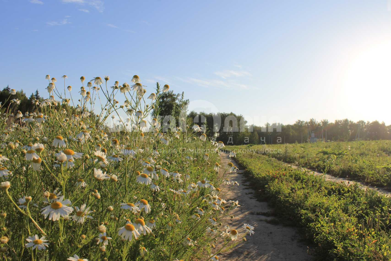 Продаётся участок 9,5 соток на берегу озера! - фото #5