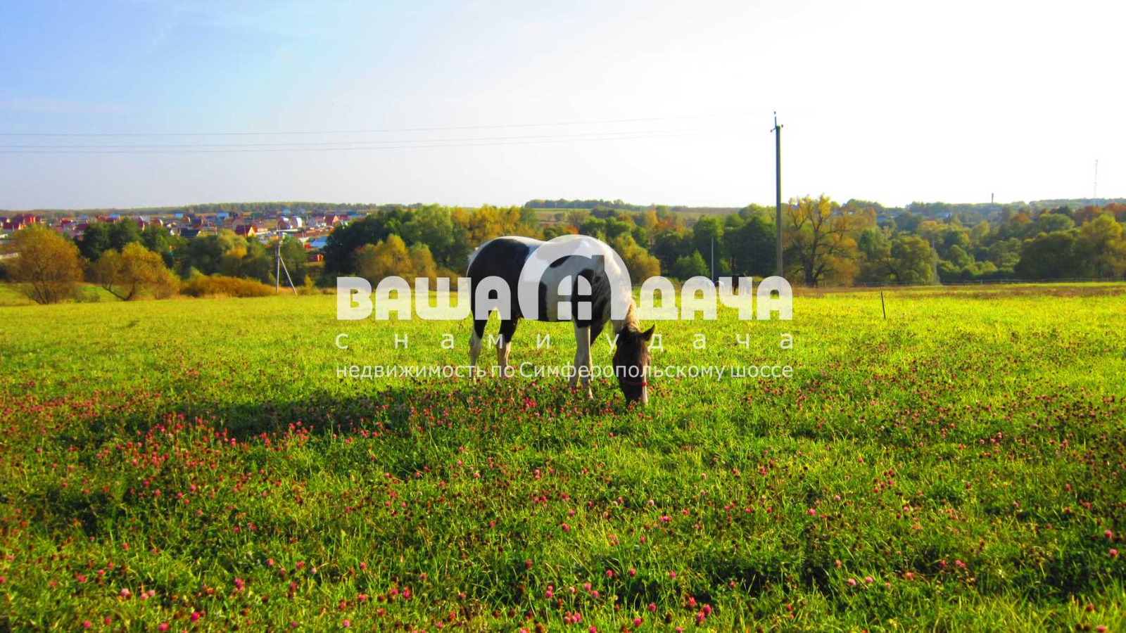 Участок ИЖС 16 соток с п. Домнино - фото #19