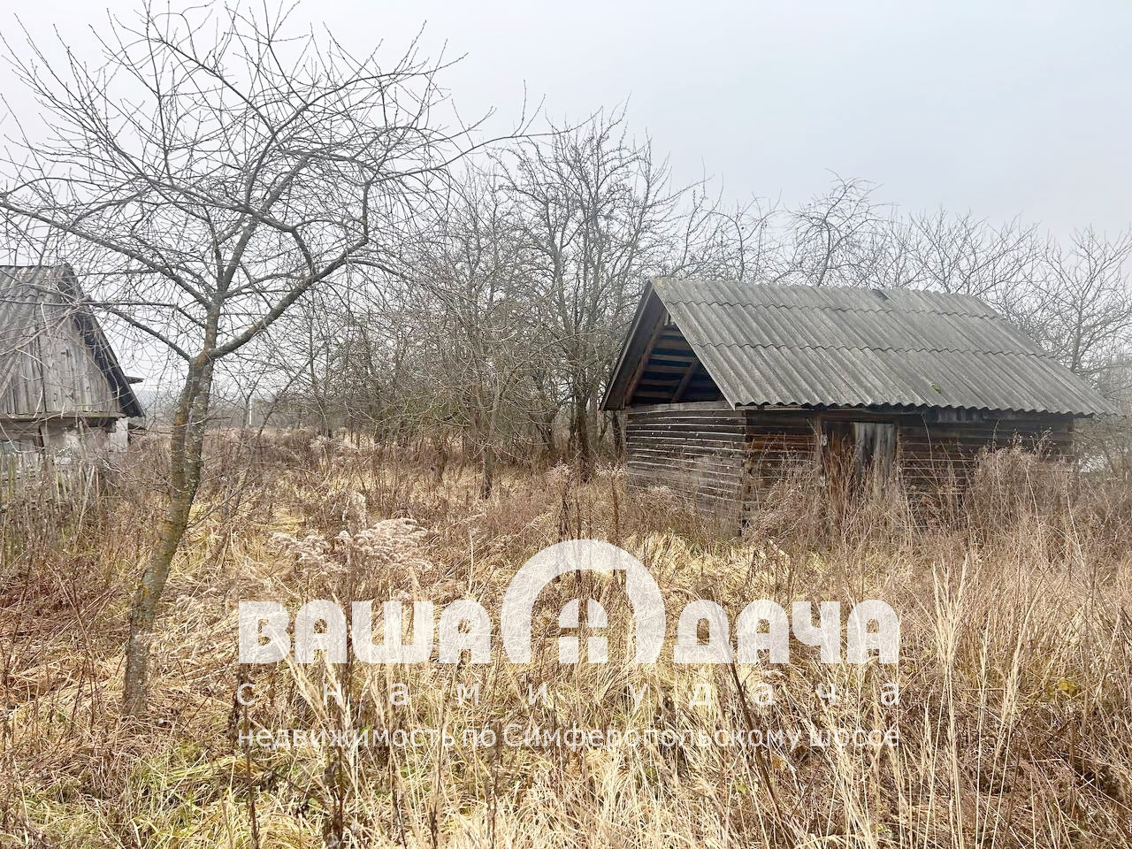 Продается земельный участок 24 сотки в деревне Теряево - фото #2