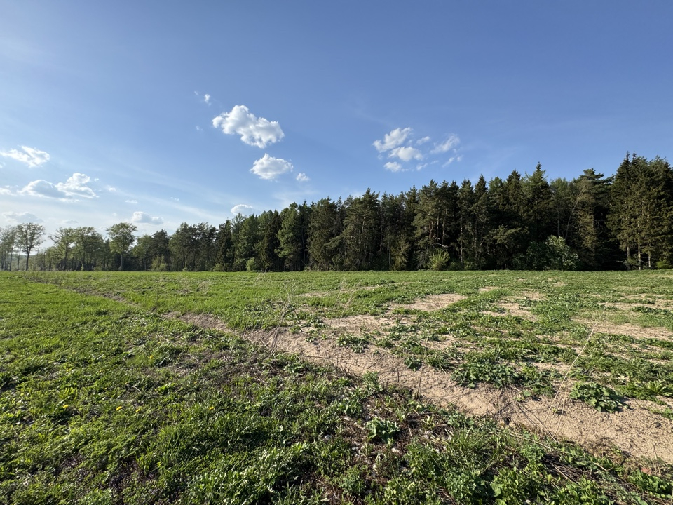 Участок 17 соток в д. Костино - фото #16