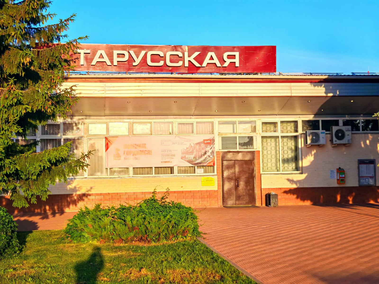 Участок 20 соток в лесной чаще! В деревне Пашково - фото #21