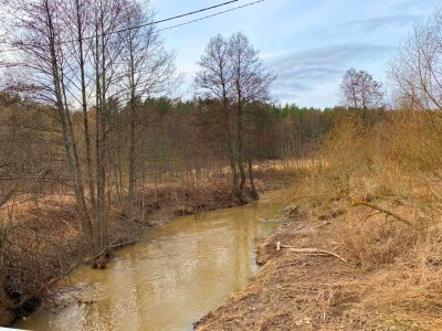 Земельный участок У СОСНОВОГО БОРА ! РЕКА ОКА В 1 КМ!