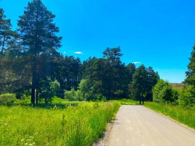 Продается 25 соток в поселке Бутиково с асфальтовым подъездом, электричество и газ по границе