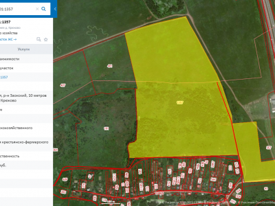 Большой массив 36,5 га для КФХ.