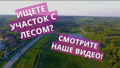 Где купить участок с выходом в лес?