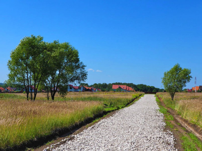 Александровка