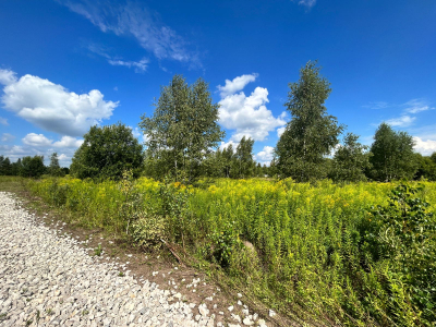 Пахомово 2 Пахомово 2