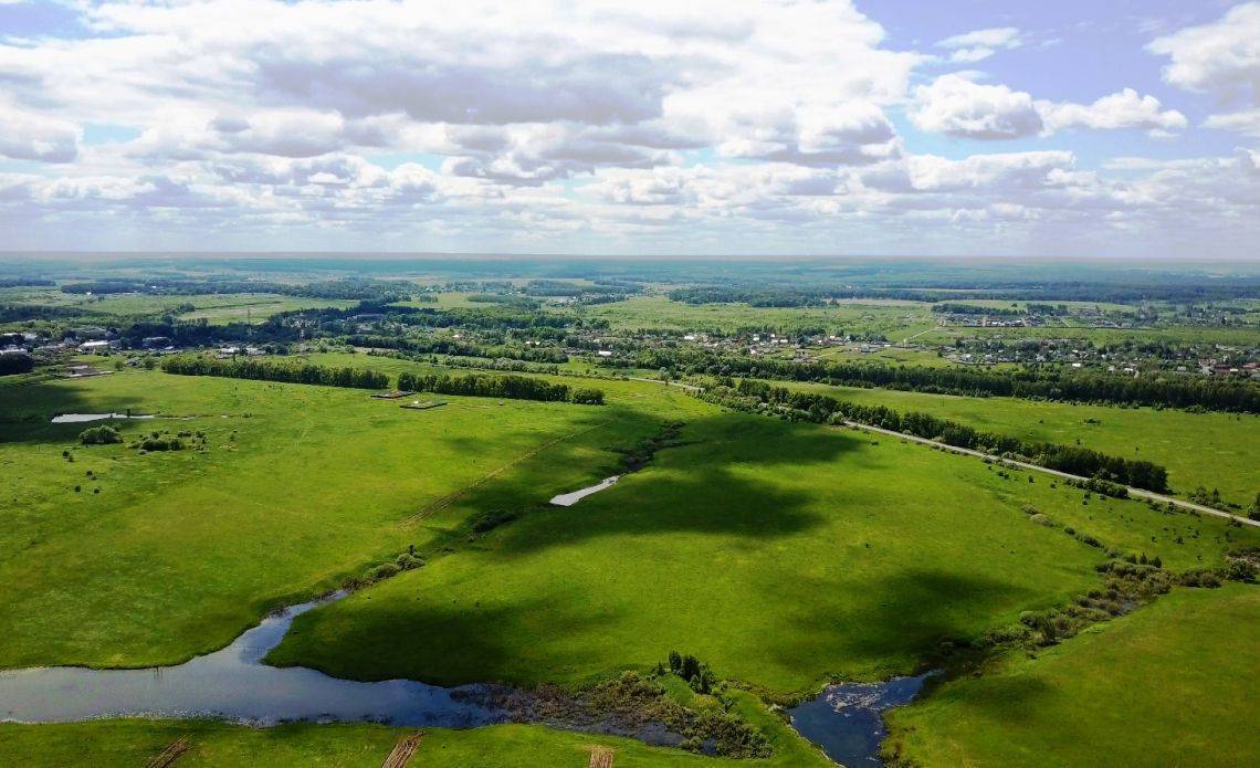 Скрипово заокский район. Пруды в Заокском районе Тульской области. Водоемы в Заокском районе Тульской области. Пахомово Тульская область пруды. Заокский родной край.