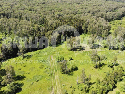 Пашково Пашково