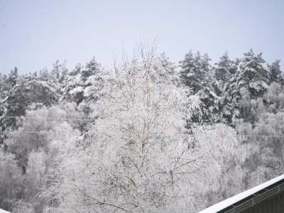 Скрипово Скрипово