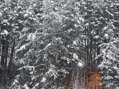 Скрипово Скрипово