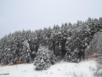 Скрипово Скрипово