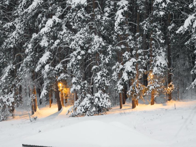 Скрипово Скрипово