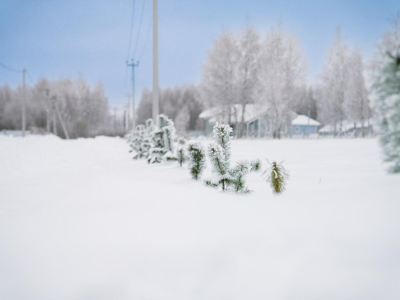 Скрипово Скрипово
