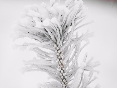 Скрипово Скрипово