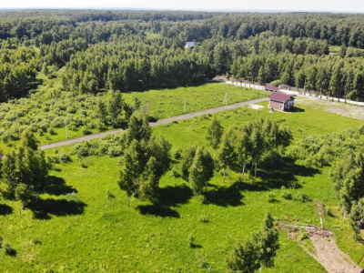 Скрипово