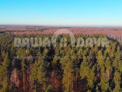 Скрипово Скрипово