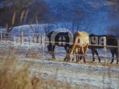 Скрипово Скрипово
