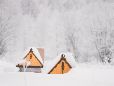 Скрипово Скрипово
